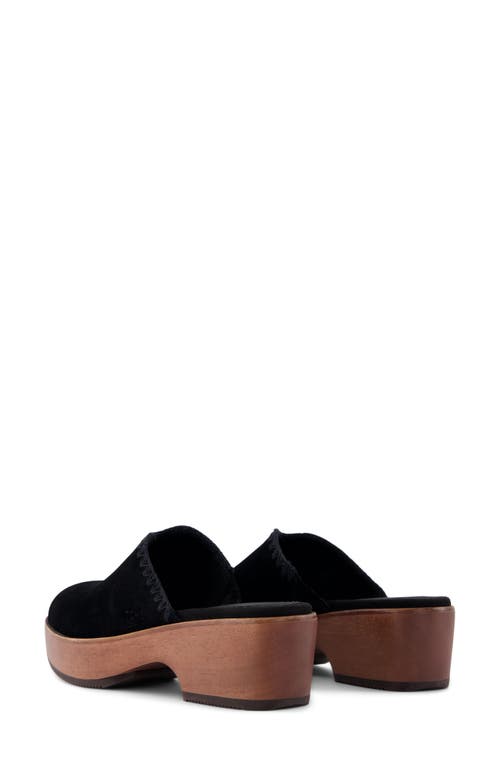 Toms Addison Suede Clog