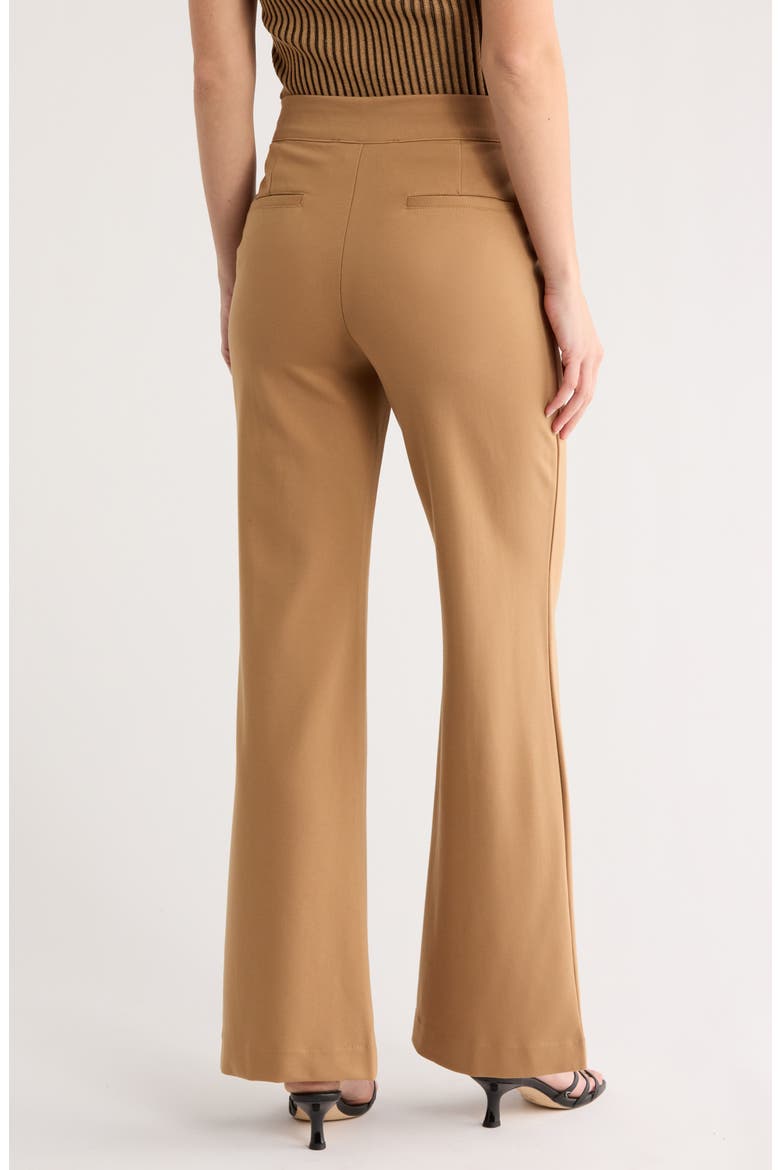 Front Seam Straight Leg Ponte Pants, Alternate, color, TRUFFLE