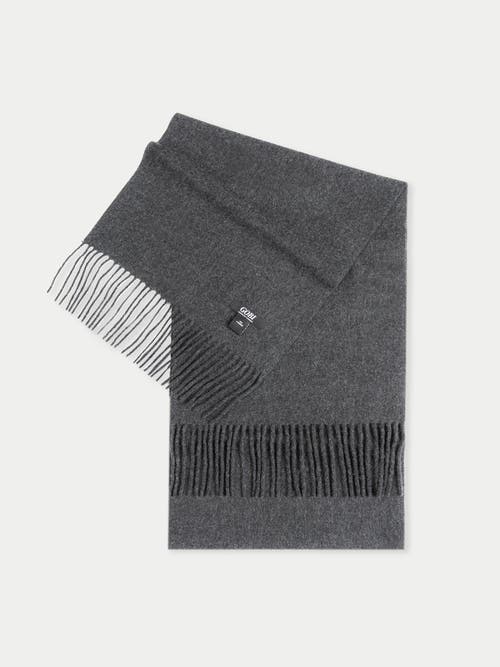 Gobi Mongolian Cashmere Cashmere Fringed Scarf In Charcaol