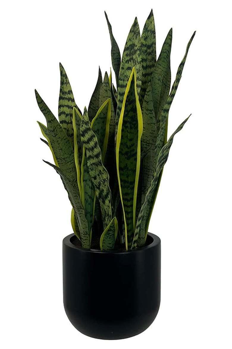 30" Snake Plant, Main, color, Green