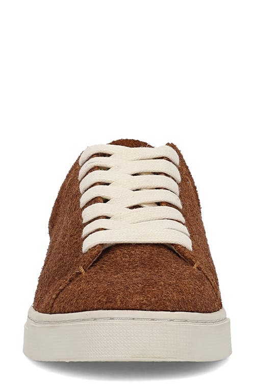 Frye Ivy Low Top Sneaker In Brown