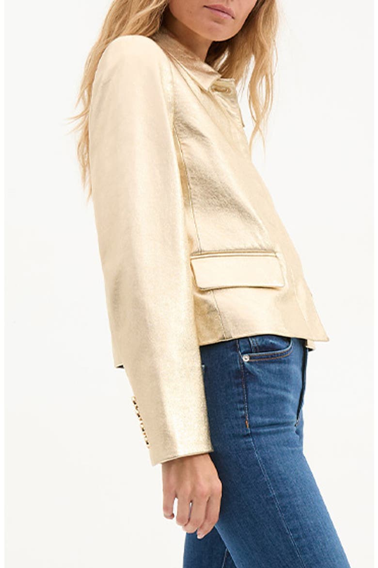 Imogen Metallic Leather Jacket, Alternate, color, GOLD