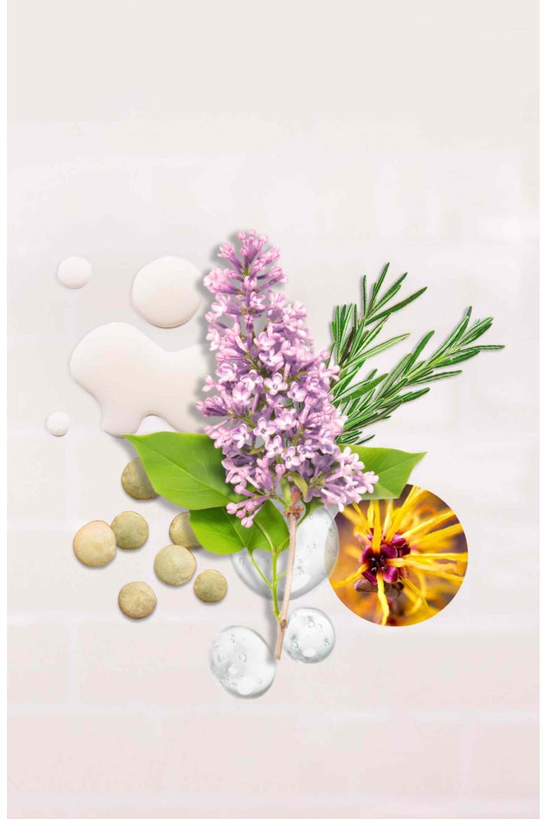 Balancing Toner with Lilac and Sea Daffodil, Alternate, color, Transparent