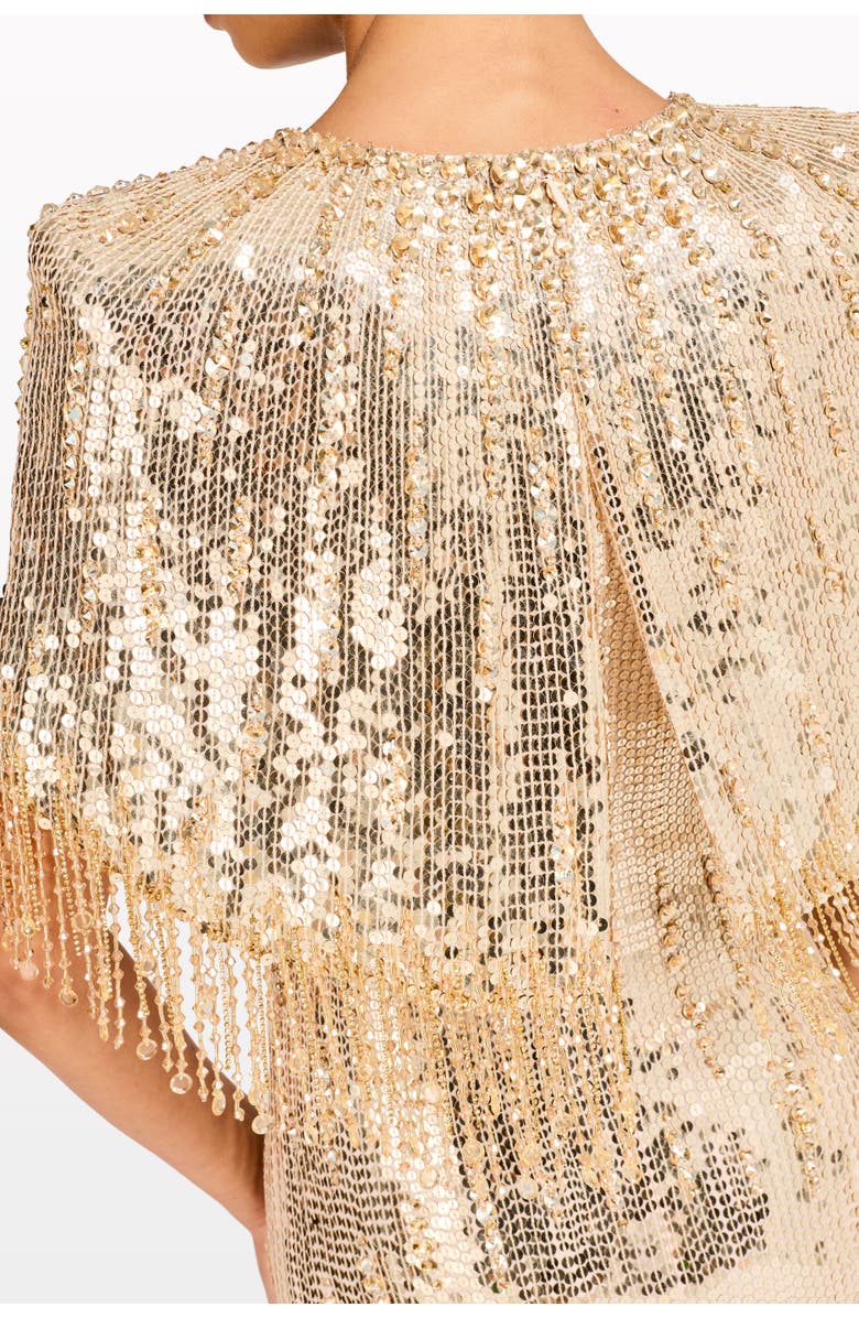 Jenny Packham Blake Sequin-Embellished Maxi Dress, Alternate, color, Sugar