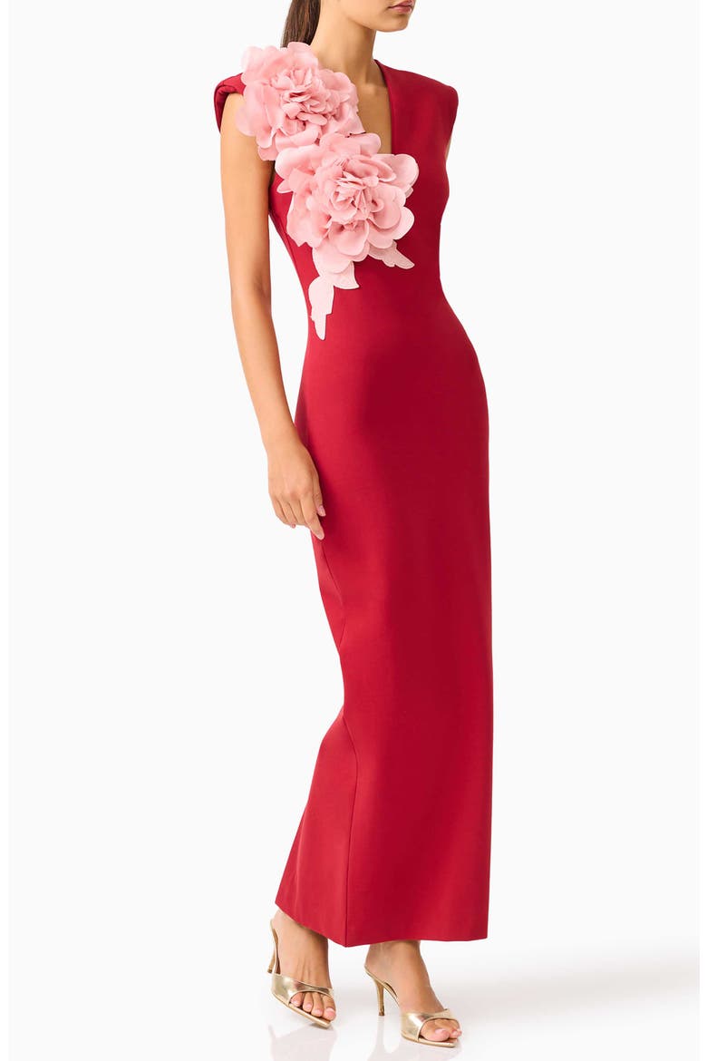 Zahara Floral Appliqué Sleeveless Gown, Main, color, BURGUNDY