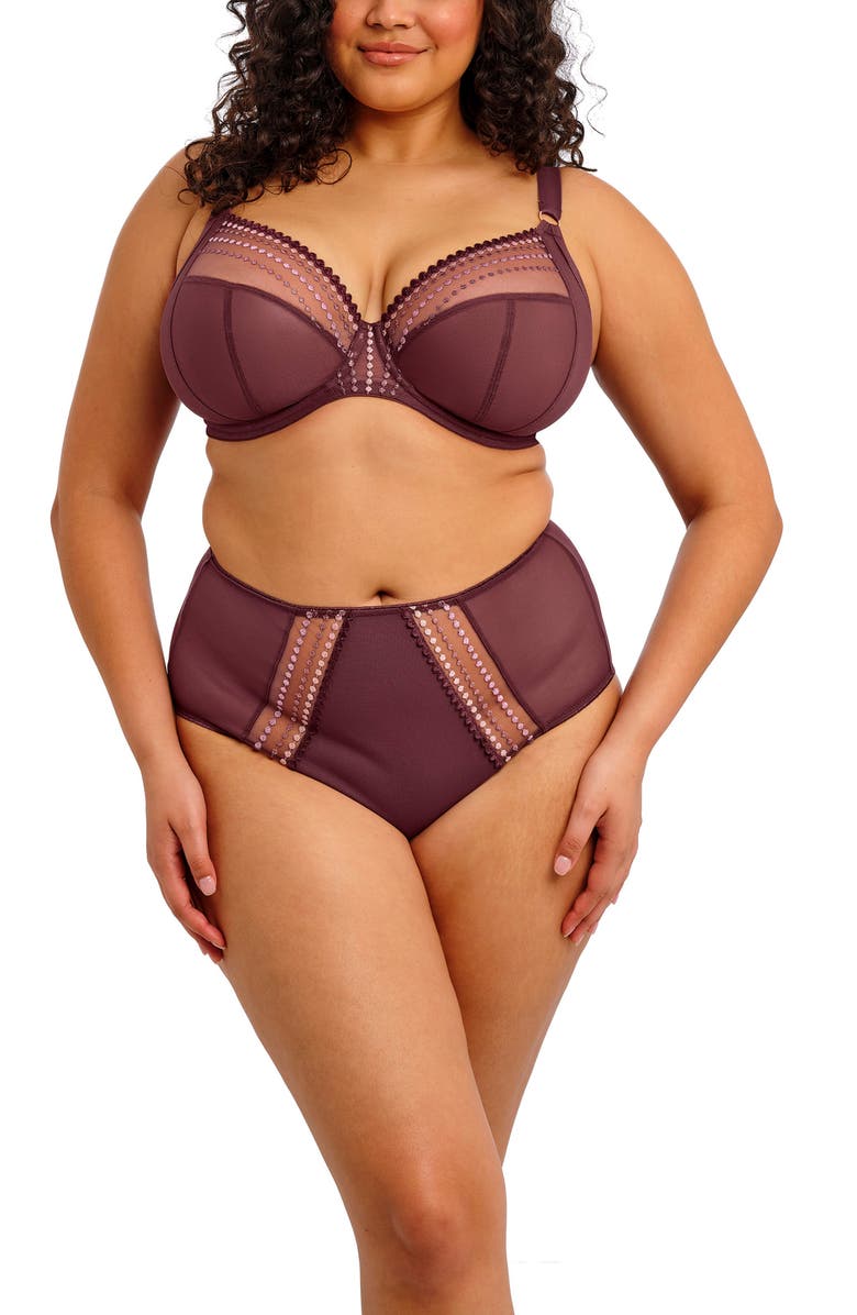 Elomi Matilda Full Figure Embellished Briefs, Alternate, color, Sugarplum