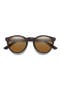  Tortoise / Brown