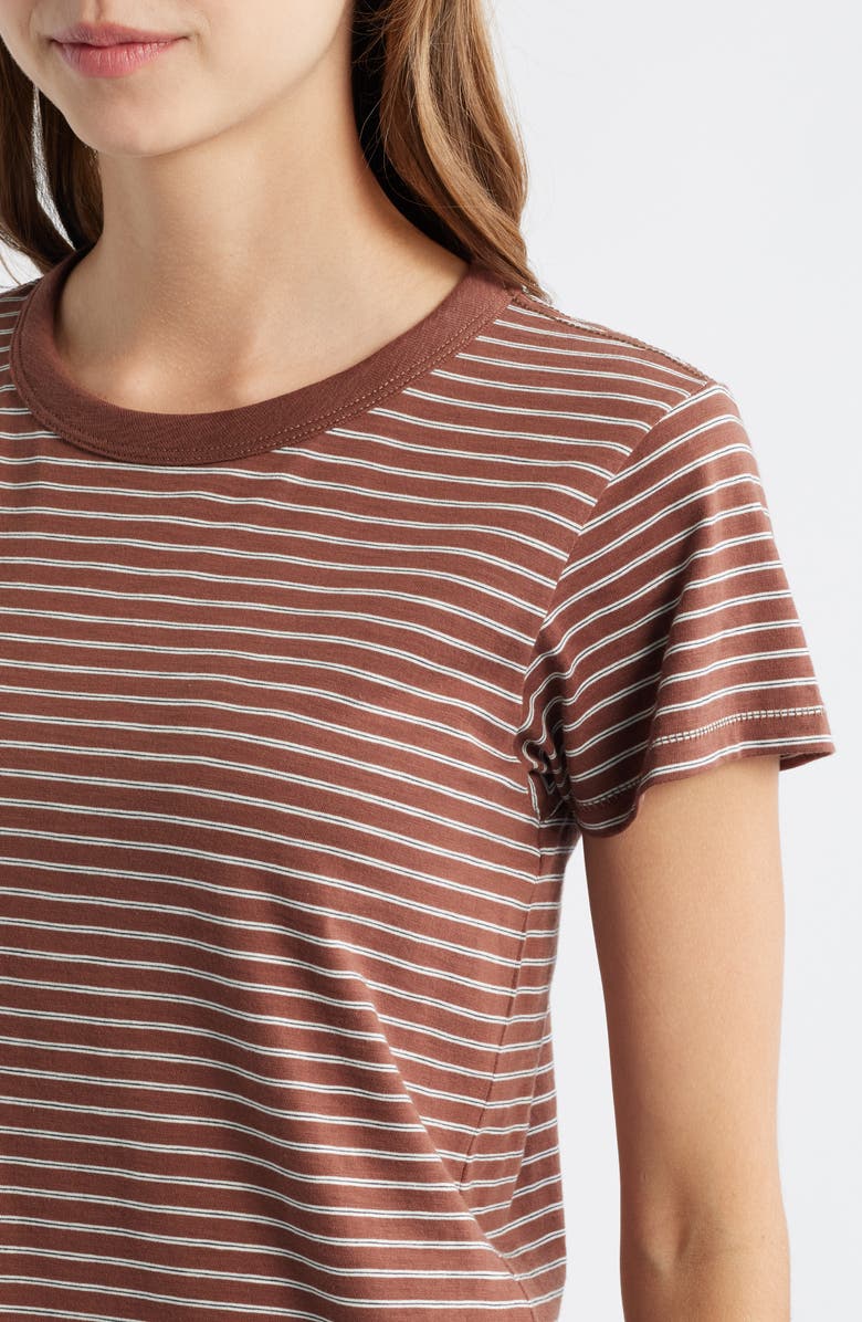 rag & bone The Slub Stripe T-Shirt, Alternate, color, Brown Multi