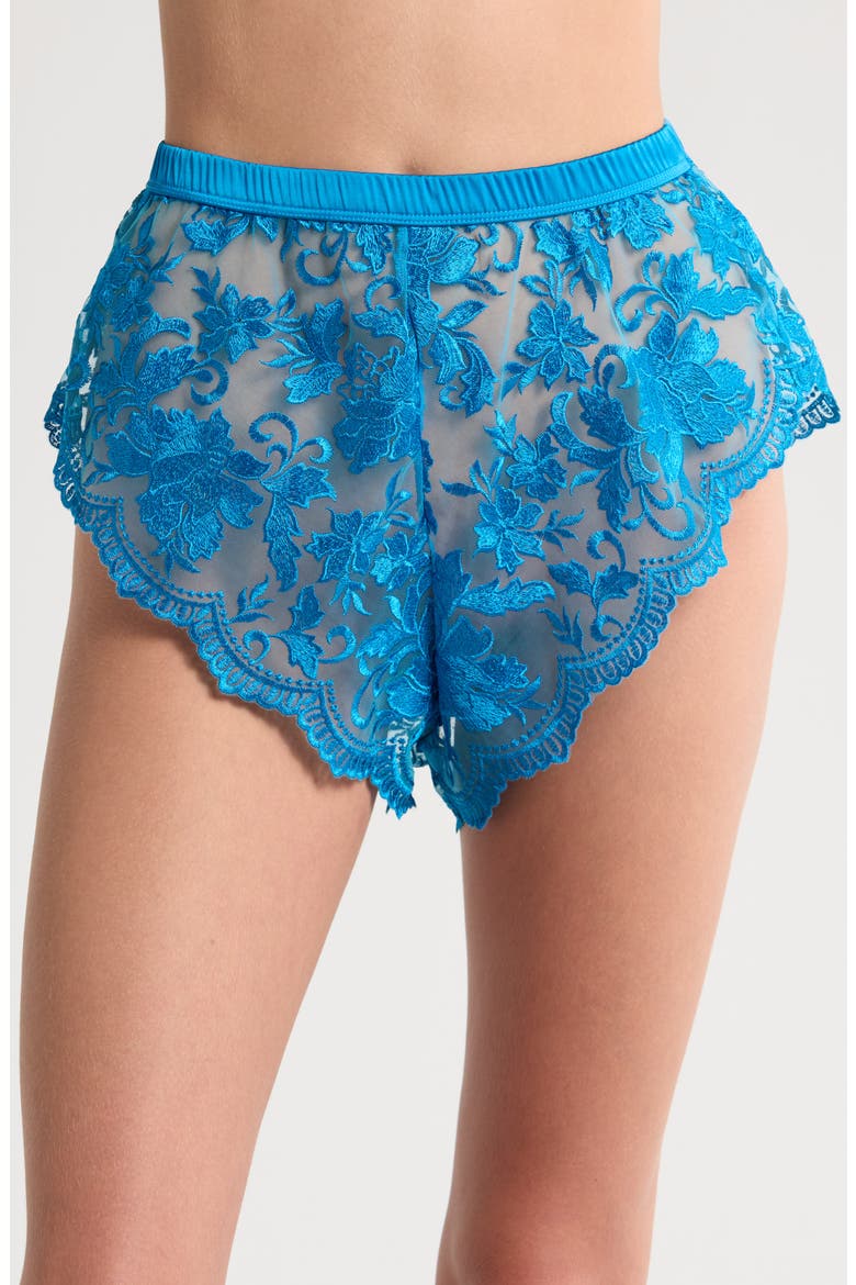Embroidered Mesh Tap Boyshorts, Main, color, BLUE