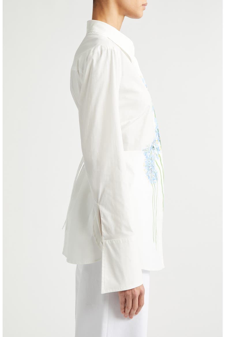 Allium Cotton Poplin Blouse, Alternate, color, BLUE/ WHITE