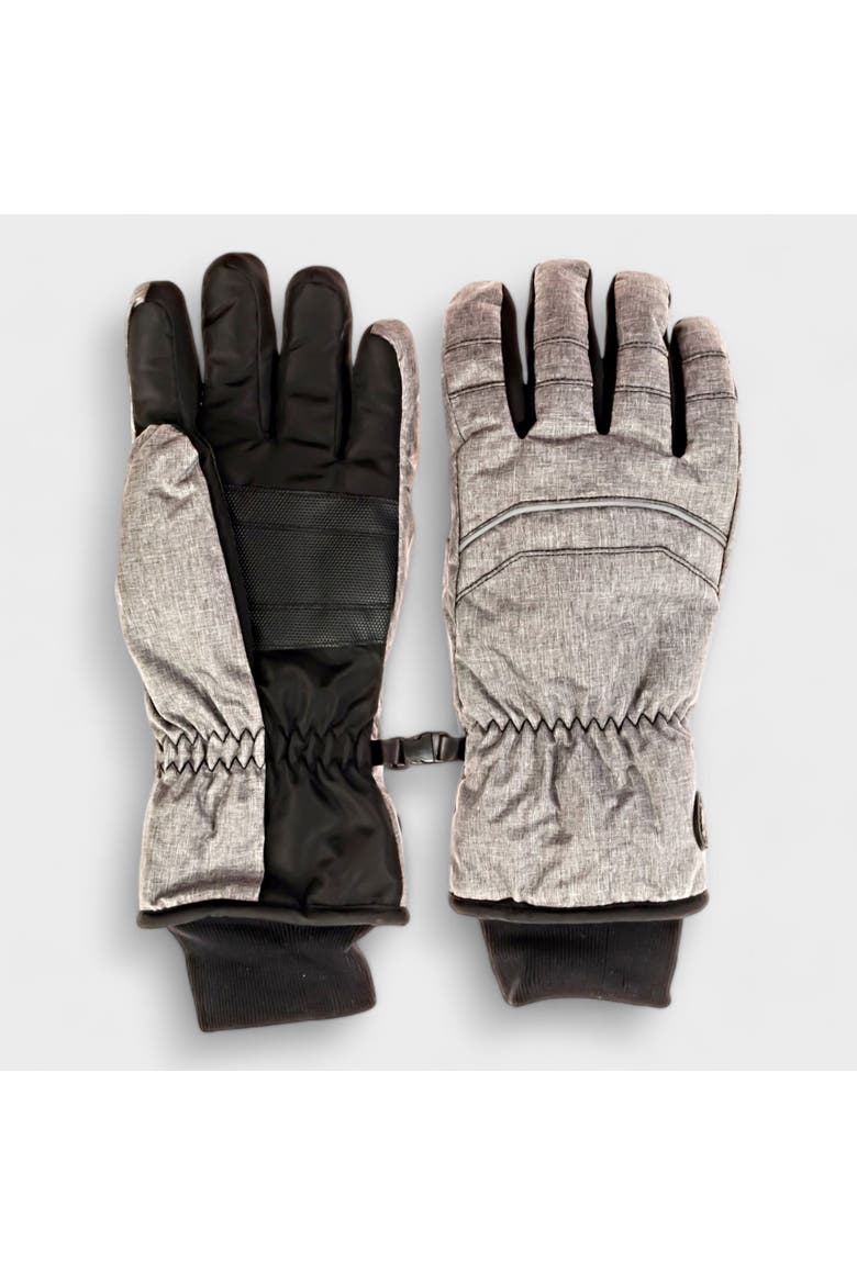 Men's Ski Gloves, Main, color, Grey