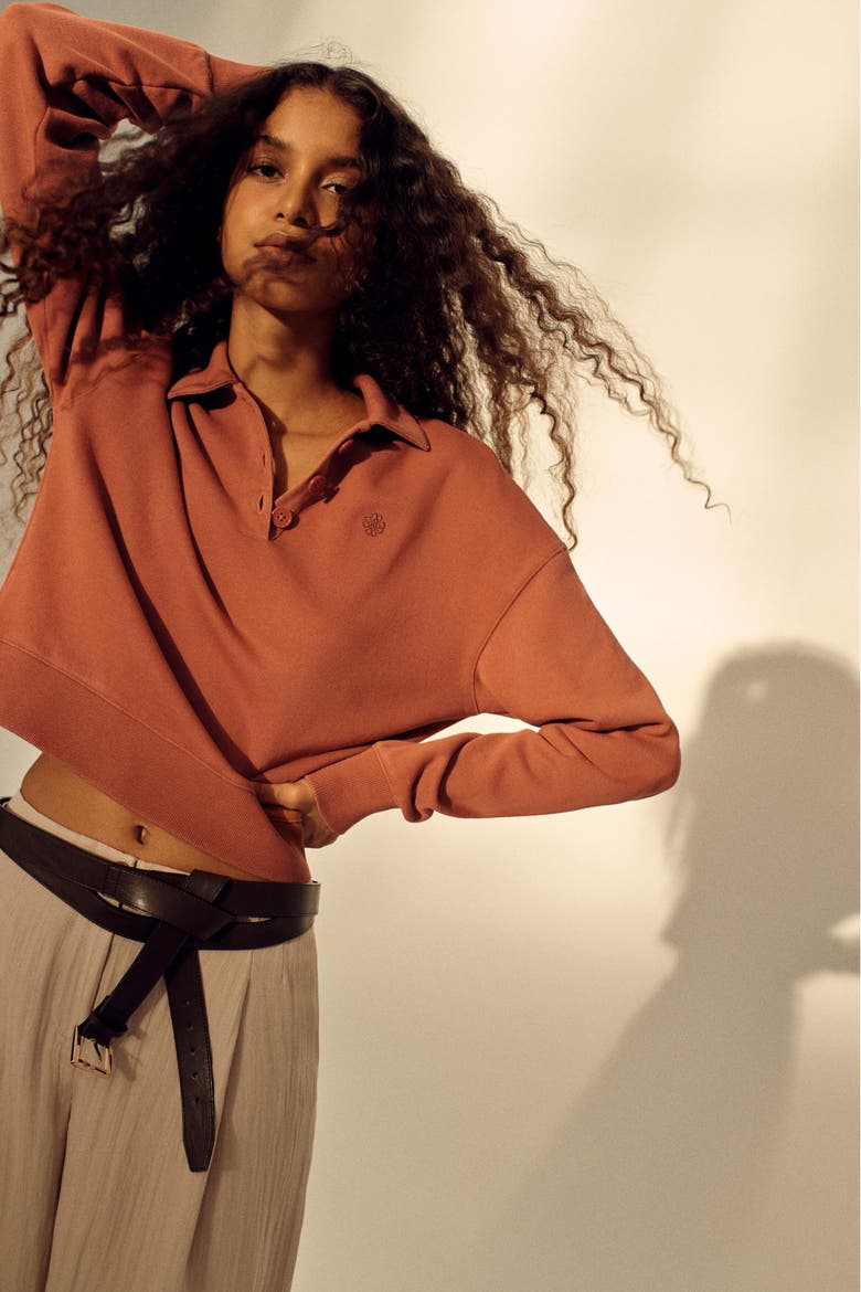 Loose-fit Polo Shirt, Alternate, color, Rust red