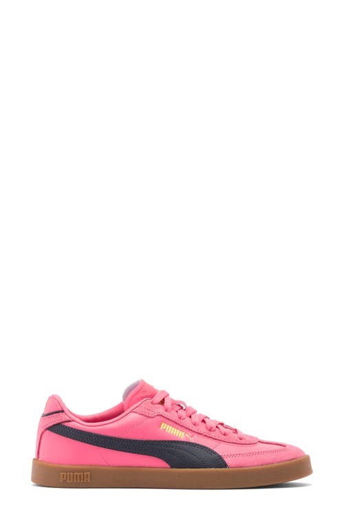 Puma Club Ii Era Sneaker In Magic Rose-new Navy-gum