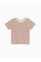  Ron Stripe / Barn