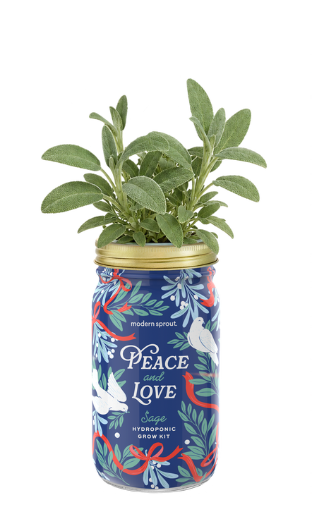 Holiday Garden Jar