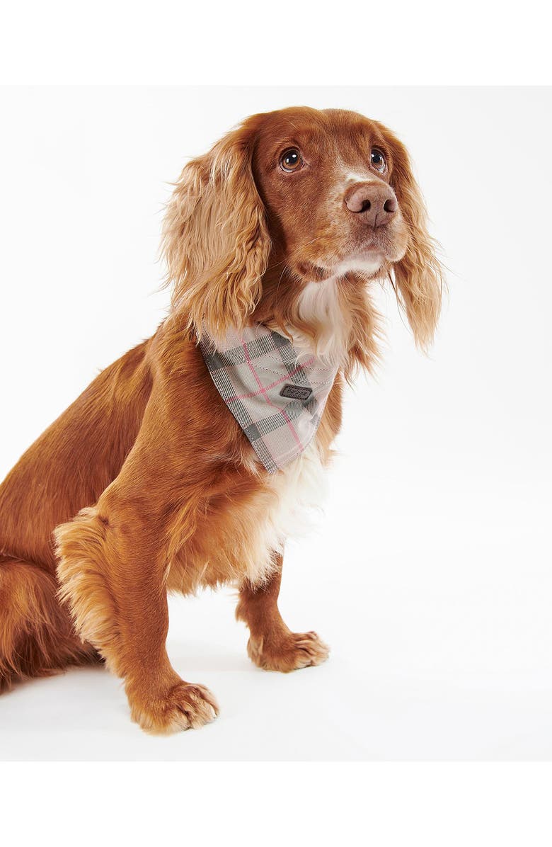 Barbour Tartan Dog Bandana, Alternate, color, Taupe/ Pink Tartan