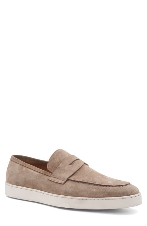 Bruno Magli Prato Penny Loafer In Taupe Suede
