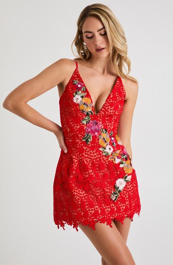 Chloe Sequin Lace Sleeveless Minidress