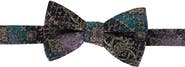 Trafalgar The Spellbound Brocade Novelty Silk Bow Tie