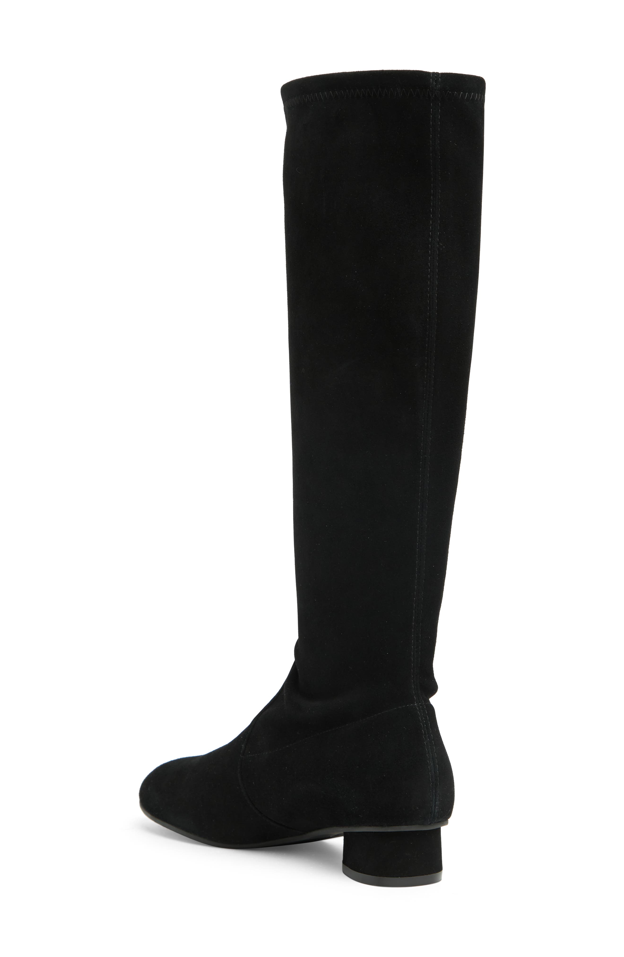 Stuart Weitzman Quebecland Knee High Boot, Alternate, color, 