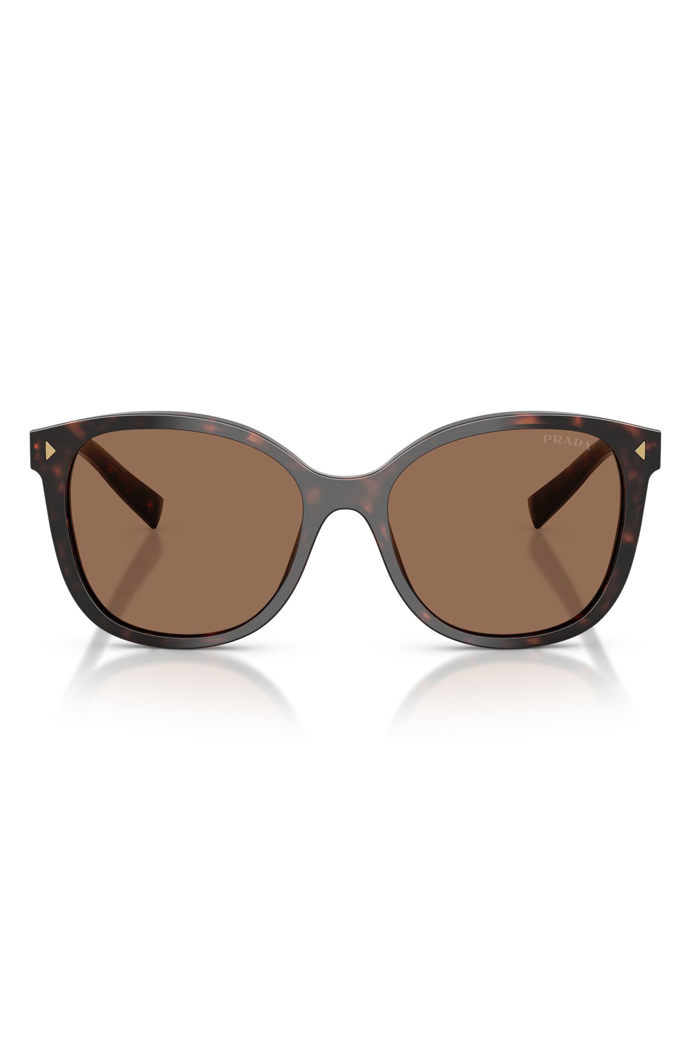 selected TARTARUGA RADICA / DARK BROWN