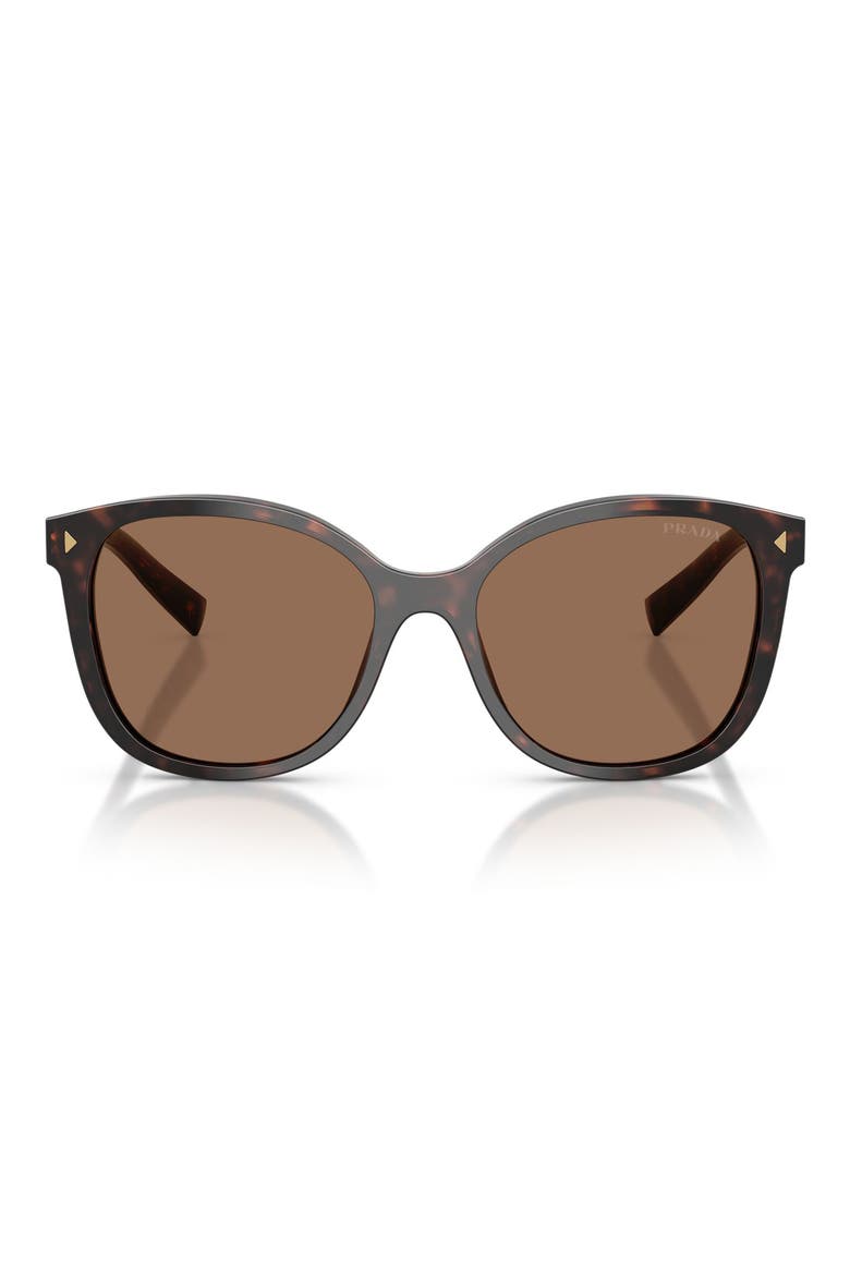 53mm Square Sunglasses, Main, color, TARTARUGA RADICA / DARK BROWN