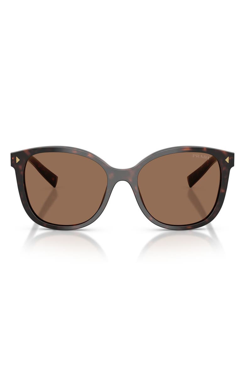 Prada 53mm Square Sunglasses, Main, color, Tartaruga Radica / Dark Brown