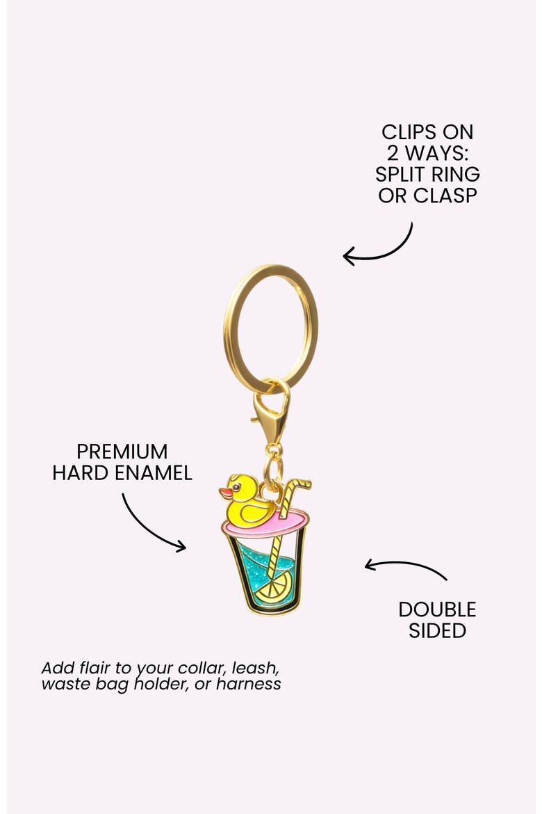 Summer Drink Pet Collar Charm, Alternate, color, Summer Drink