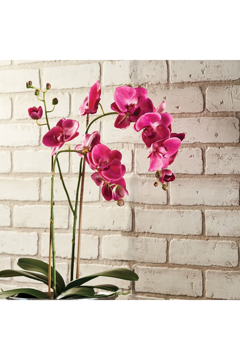 Phalaenopsis X 2 Drop-In 29", Alternate, color, pink