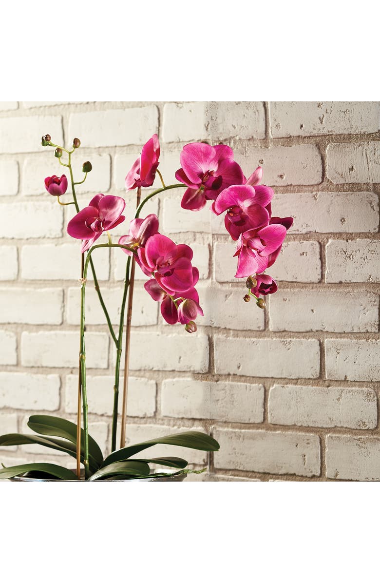 Napa Home & Garden Phalaenopsis X 2 Drop-In 29", Alternate, color, 