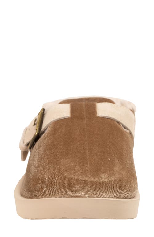 Revitalign Gift Velvet Faux Shearling Lined Slipper In Brown