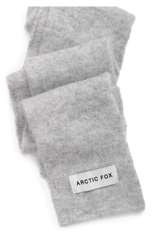 Arctic Fox & Co. Arctic Fox & Co The Alpaca Blend Skinny Scarf In Gray