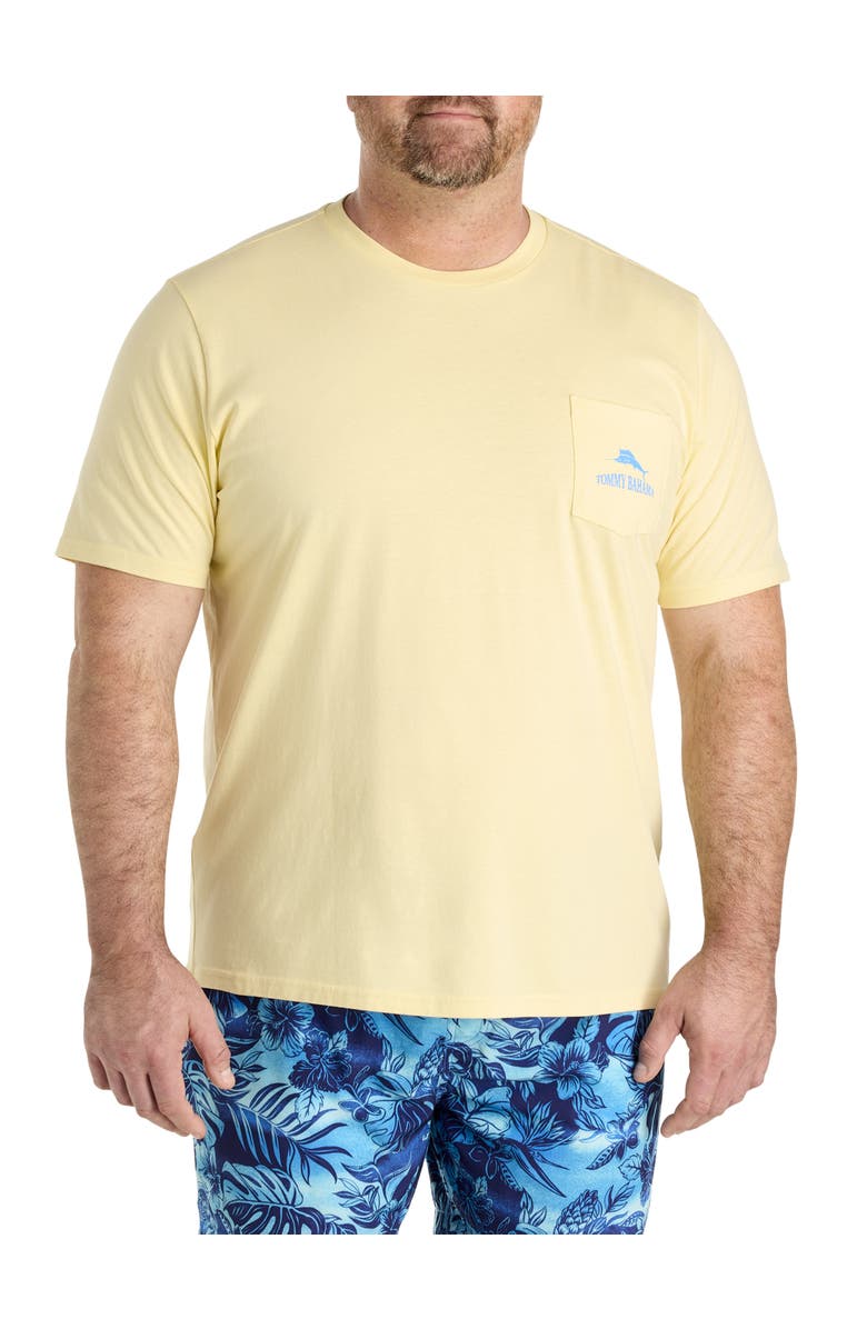 Tommy Bahama Big & Tall Nice Serve Pocket T-Shirt, Main, color, Light