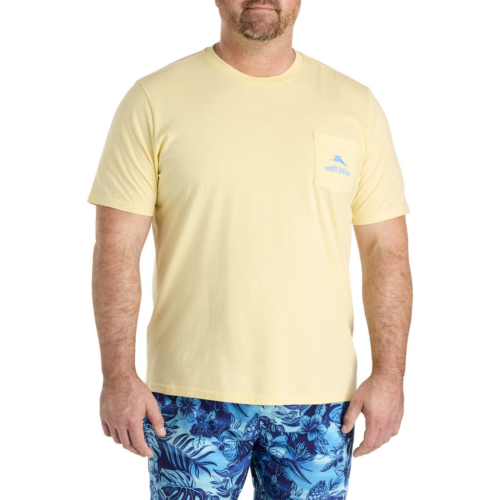 Tommy Bahama Big & Tall Nice Serve Pocket T-shirt In Light