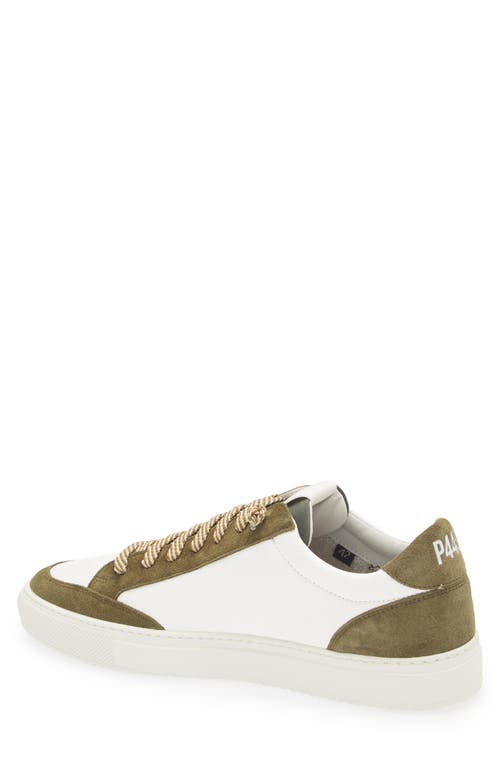 P448 Soho Sneaker In White/dark Green