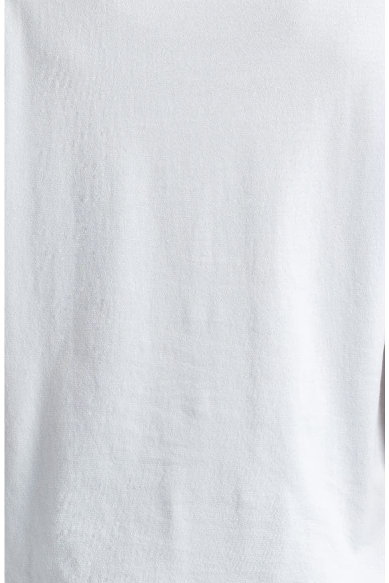 Lorca Crewneck T-Shirt, Alternate, color, DEW