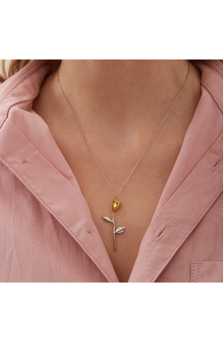 Spero London Gold Color Rose Sterling Silver Necklace, Alternate, color, Silver