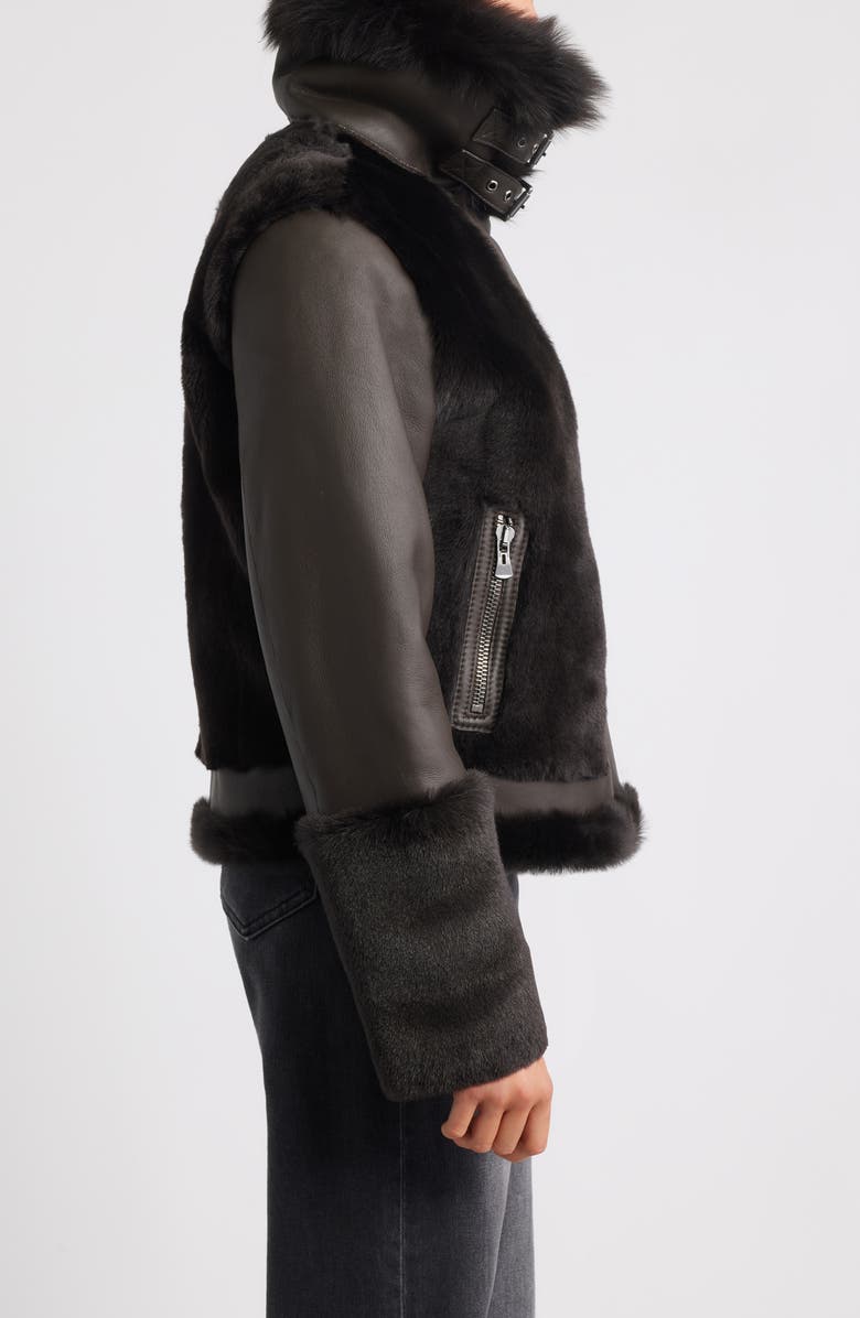 HiSO Soul Reversible Genuine Shearling Moto Jacket, Alternate, color, Chocolate