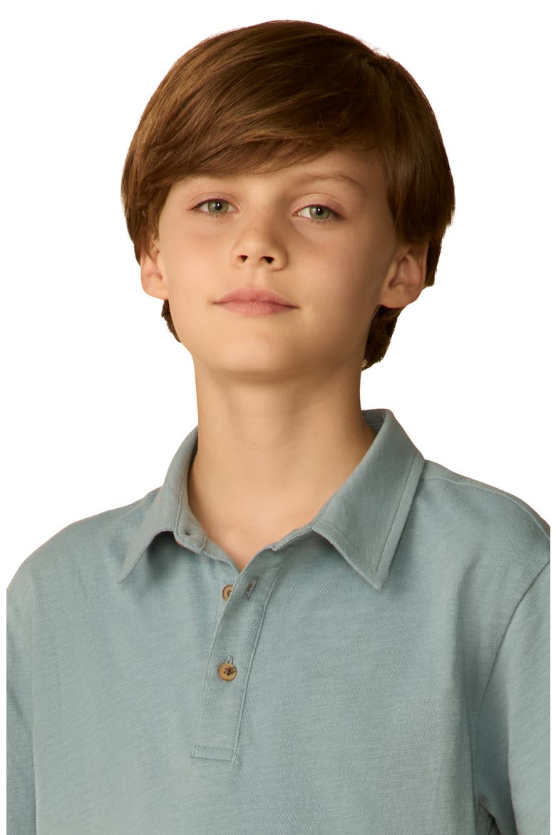 Kids' Sun Washed Organic Cotton Polo, Alternate, color, MOUNTAIN WIND STRIPE