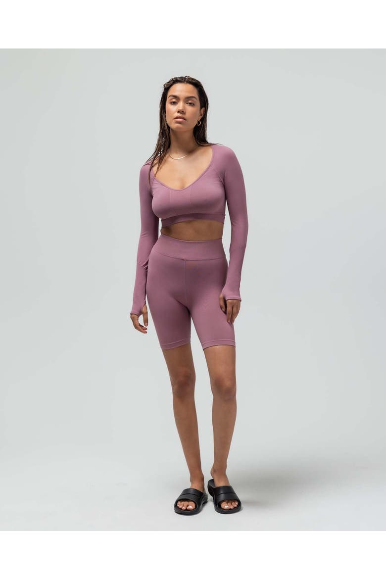 The V-Neck Long Sleeve Crop Top, Main, color, MAUVE