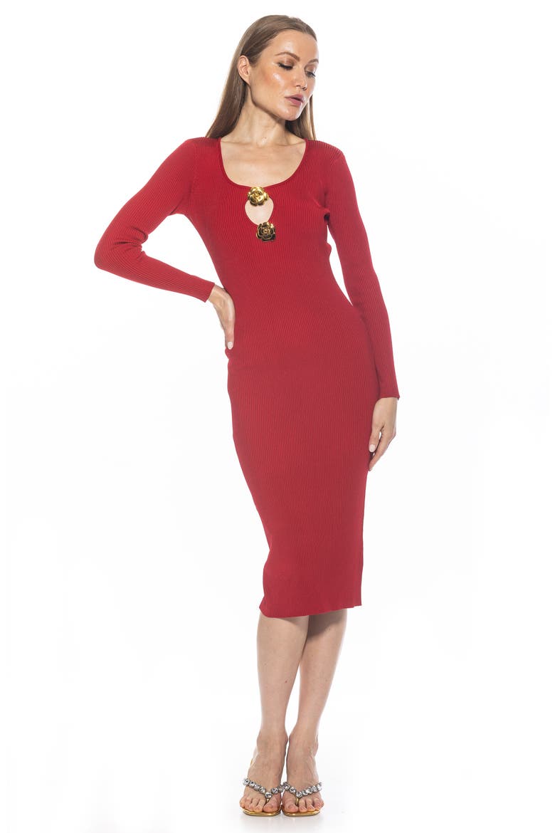 Tia Metal Rosette Long Sleeve Knit Dress, Alternate, color, RED