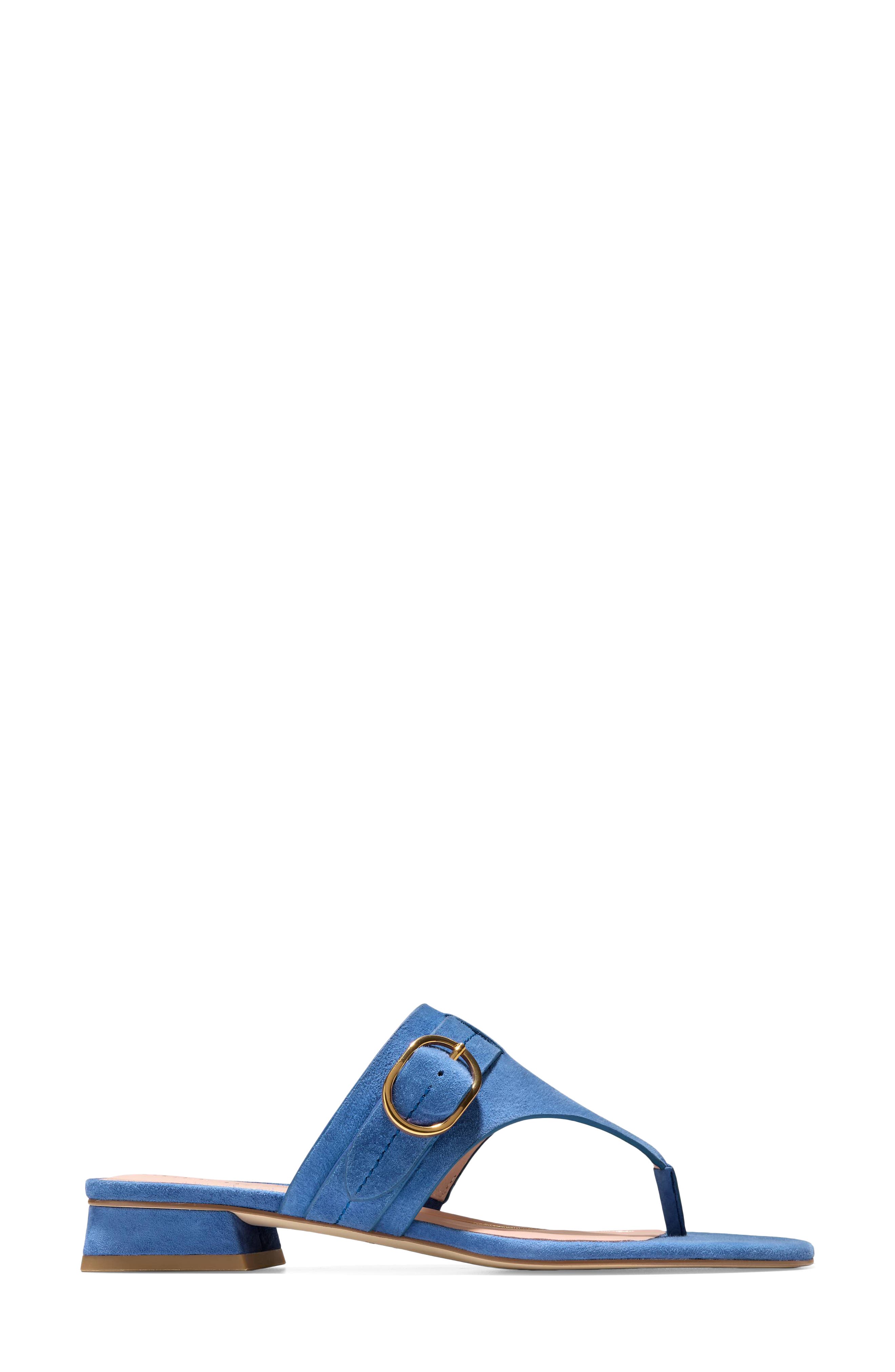 Cole Haan Gayle Flip Flop, Alternate, color, Dutch Blue Suede