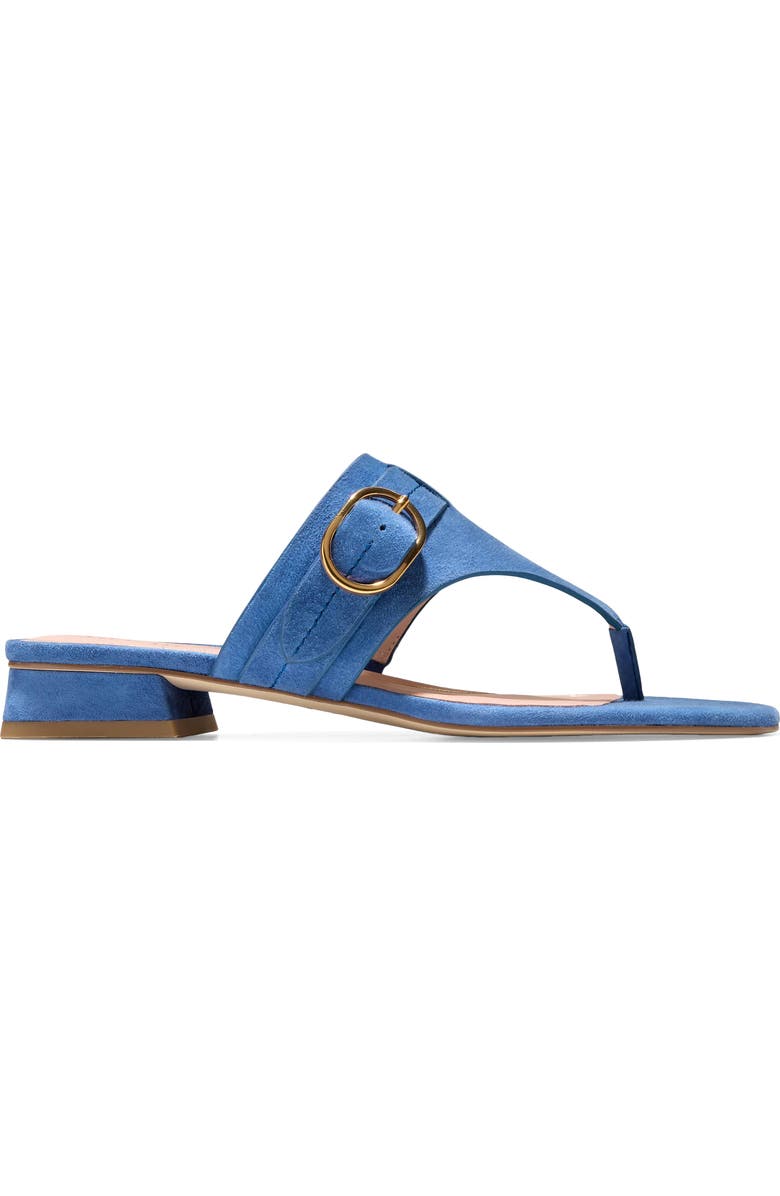 Cole Haan Gayle Flip Flop, Alternate, color, Dutch Blue Suede