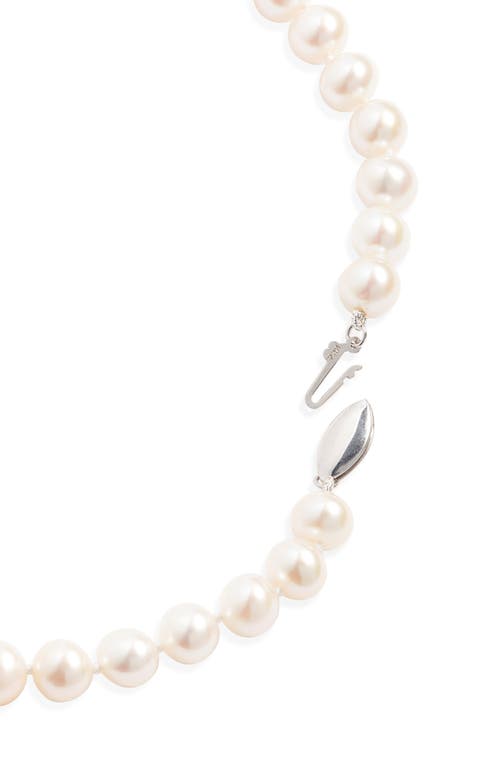 Nordstrom Freshwater Pearl Necklace In White