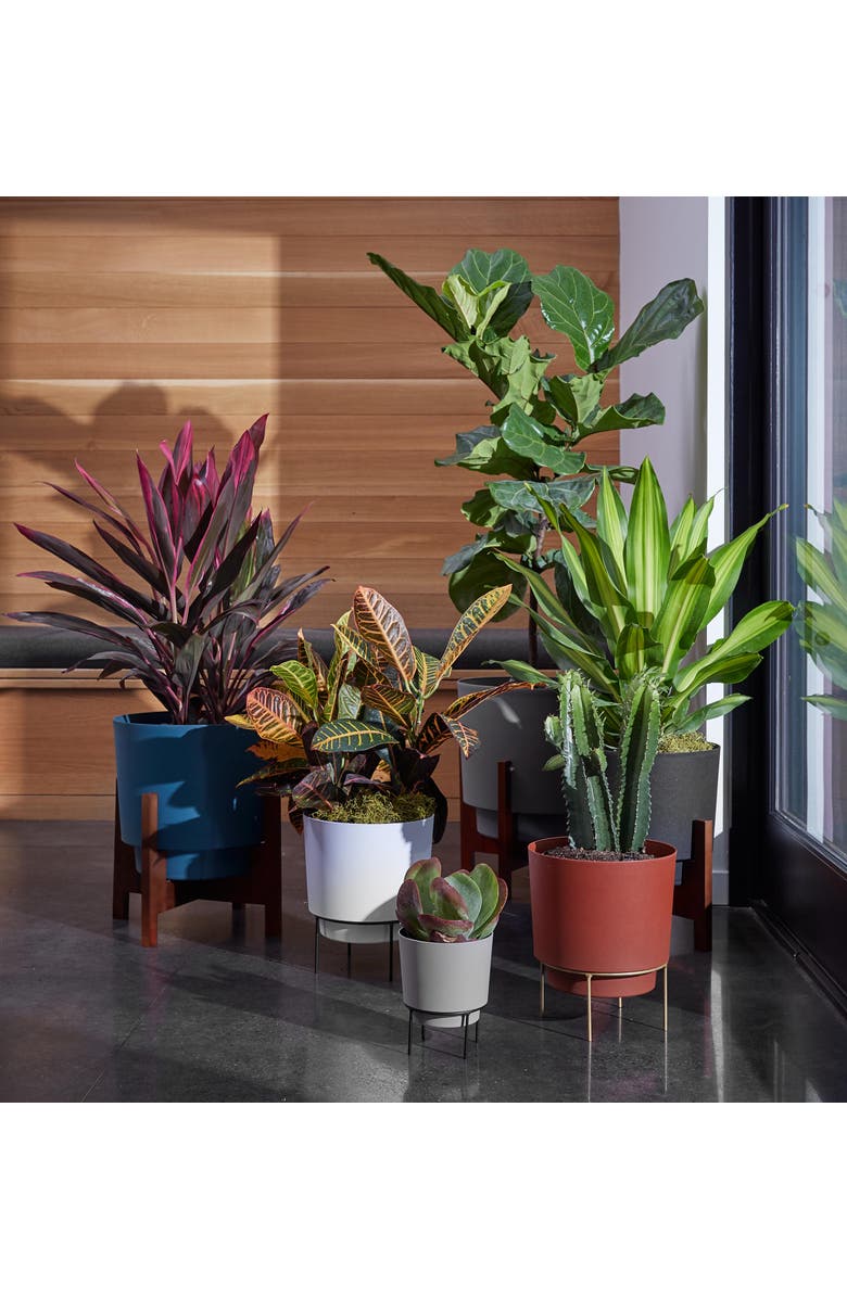 Bloem Hopson 10 Inches Casper White Planter w/ Metal Gold Stand, Alternate, color, White