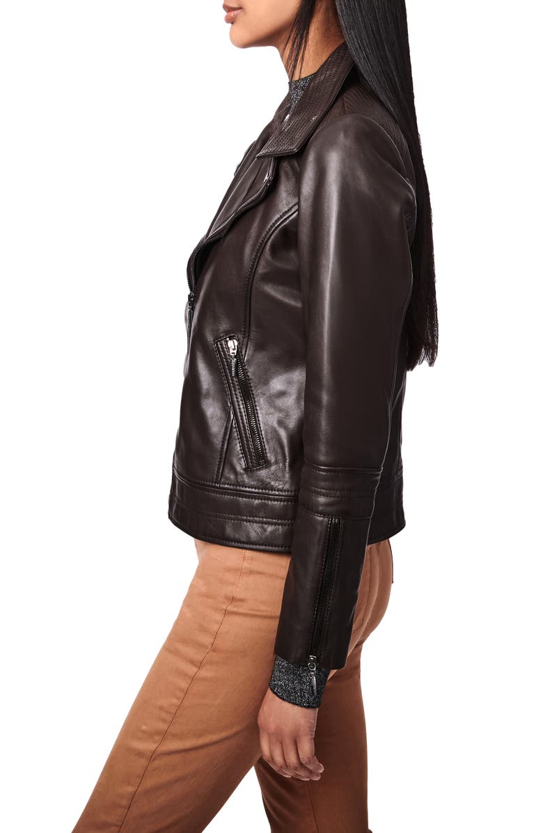Bernardo Leather Moto Jacket, Alternate, color, Chocolate Chip