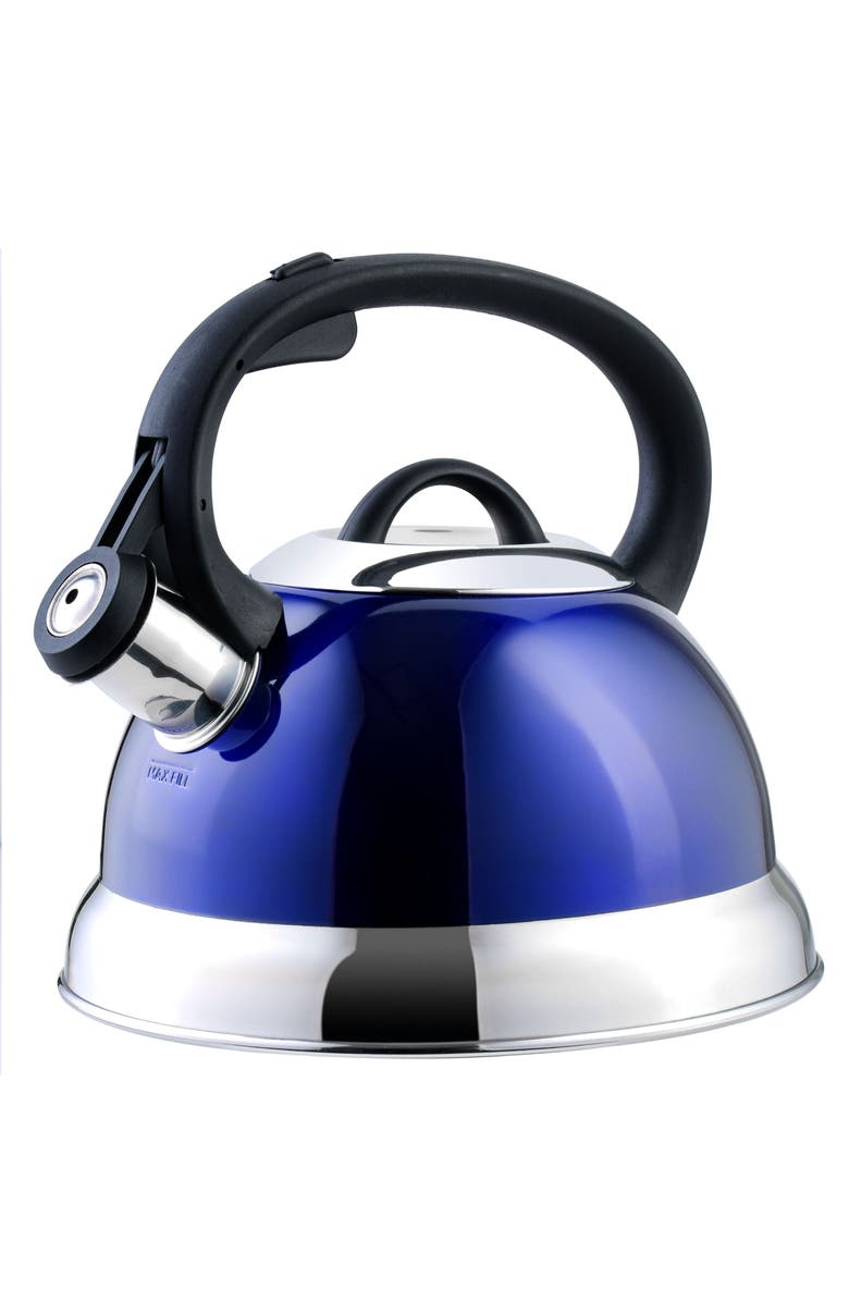 Mr. Coffee Flintshire 1.75 Quart Whistling Stovetop Tea Kettle, Main, color, Blue