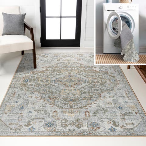 Shaemus Bohemian Medallion Low-Pile Machine-Washable Area Rug