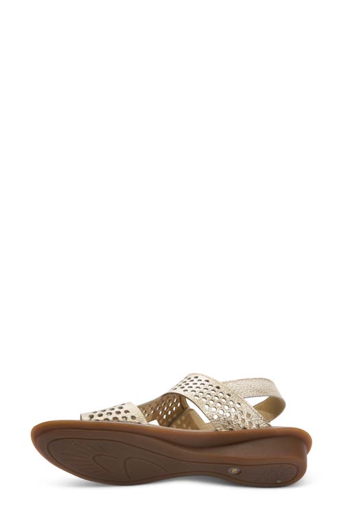 Sesto Meucci Elicia Slingback Sandal In Platino