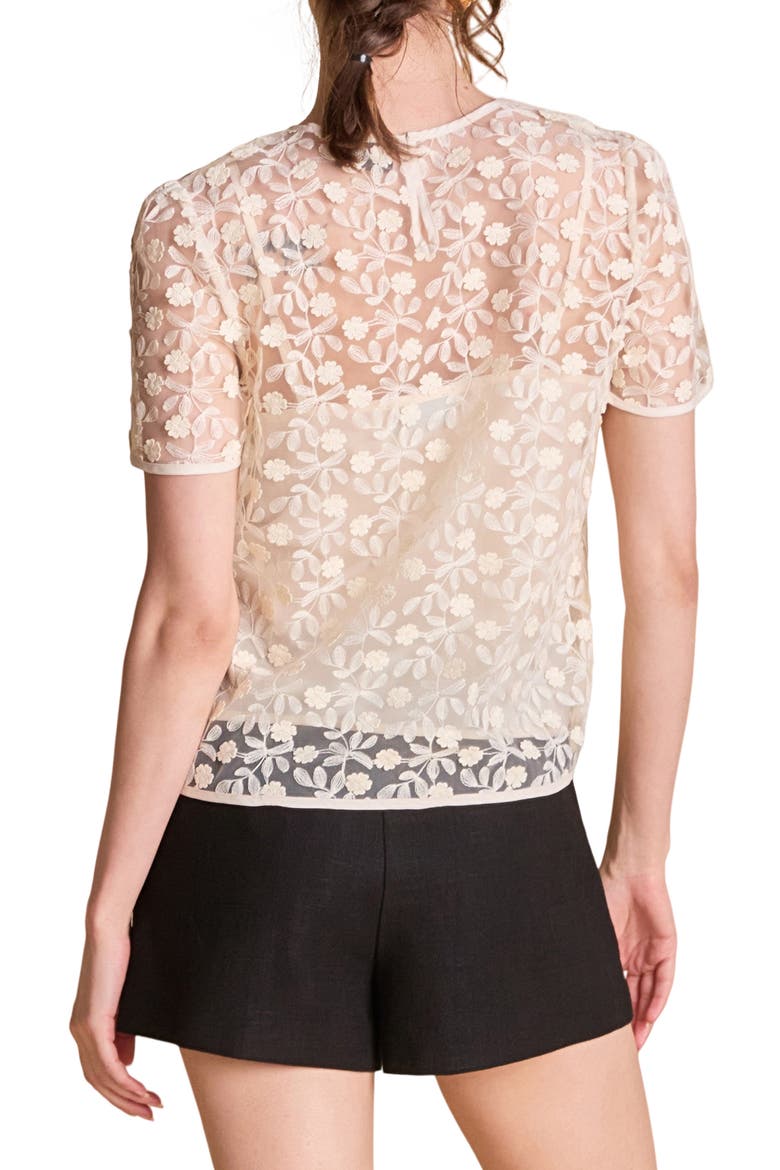 Embroidered Mesh Top, Alternate, color, IVORY